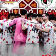 ANTERIOR Cuartos de final de la Copa de España | Primera ronda: ElPozo, listo para pelear contra Jaén