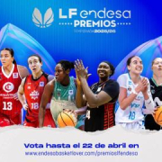 LF ENDESA