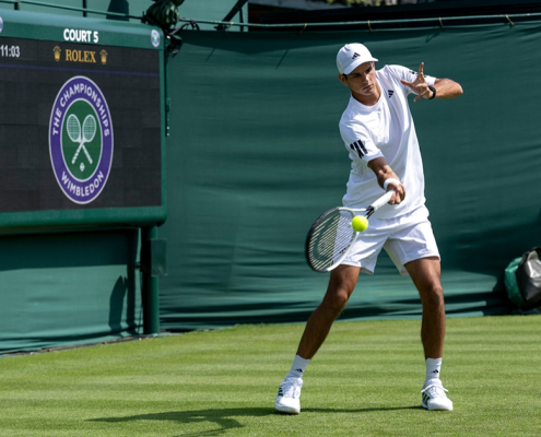 Wimbledon - Resultados